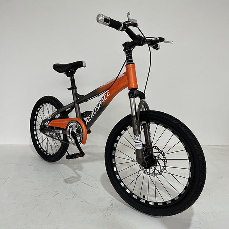 20 Inch Children's Bicycle with Kick Stand