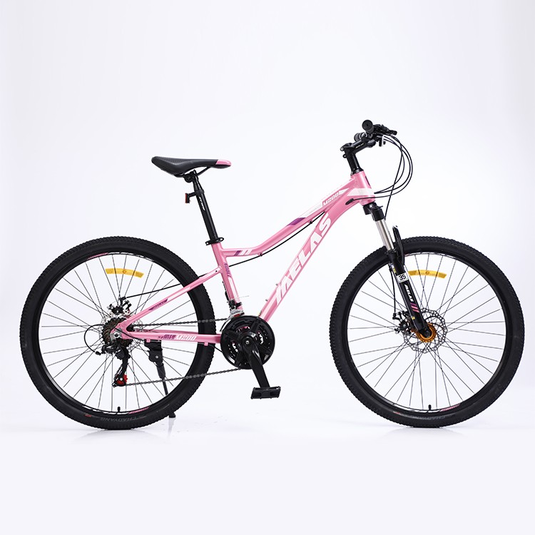 Ebike 750w Fat Tire Electric Bicycle 26 Inch Electric Bikes For Adults