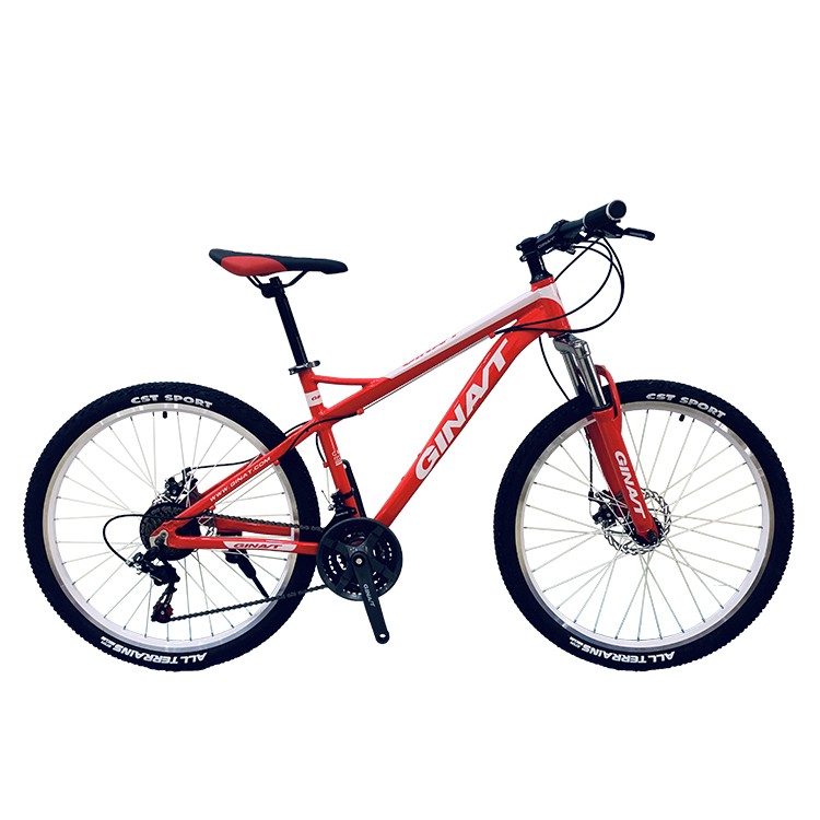 MTBGOO Made Alloy Mountain Bicycles/29 Inch 12 speed Bicycle Mountain Bike For Sale